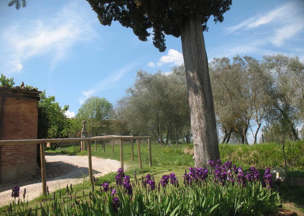Agriturismo La Torretta Costalpino Exterior photo